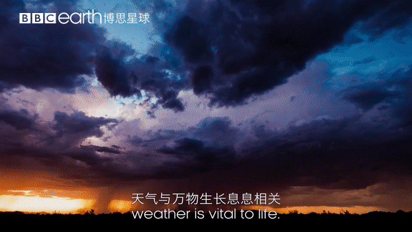 图片[55]-不愧是孩子必看的5部神级纪录片，知识暴涨，格局炸裂！-AI Express News