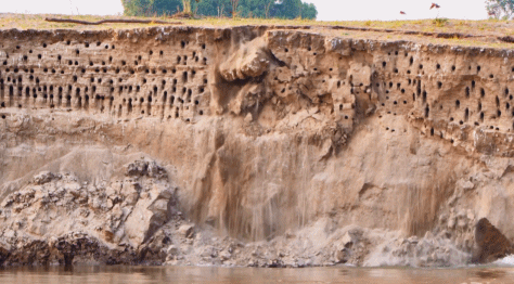 图片[58]-不愧是孩子必看的5部神级纪录片，知识暴涨，格局炸裂！-AI Express News