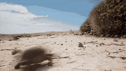 图片[59]-不愧是孩子必看的5部神级纪录片，知识暴涨，格局炸裂！-AI Express News