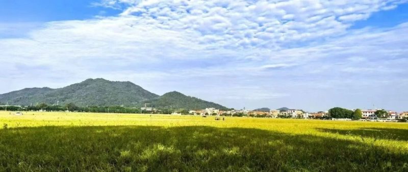 普通人暴富的秘诀只有一条：别创新，别原创，秘密就一个字！-AI Express News