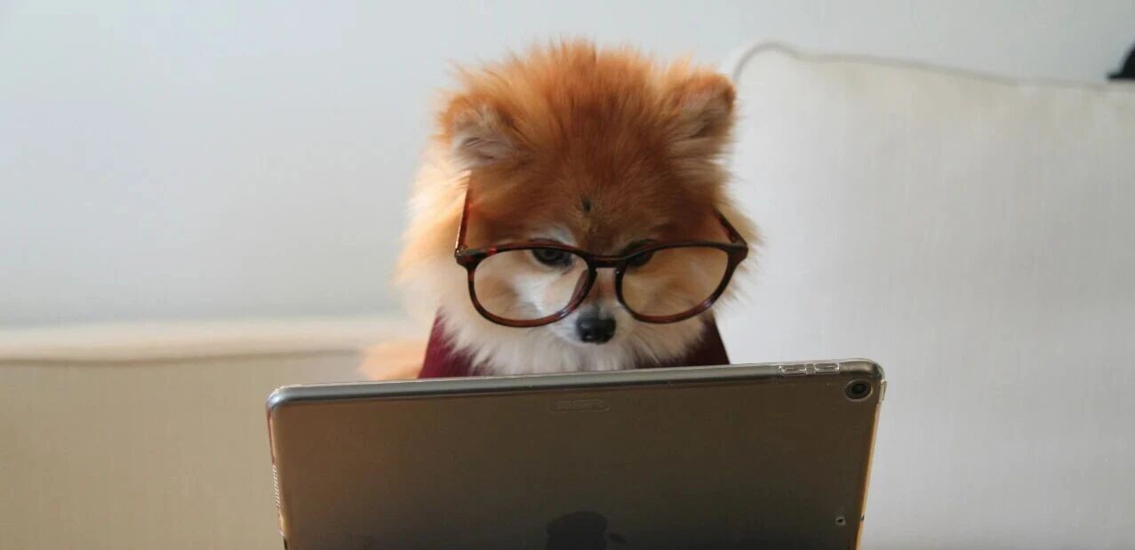 图片[4]-公开课备出“亮点”，关键不在于教法，而在于“素材”。-AI Express News