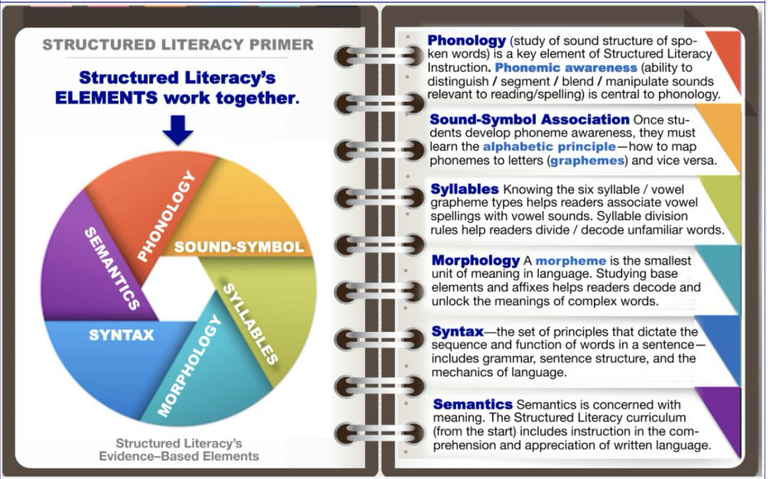 图片[4]-为什么越来越多孩子“读不进去”？美国刚完成一场阅读革命，而这件事与你家息息相关-AI Express News