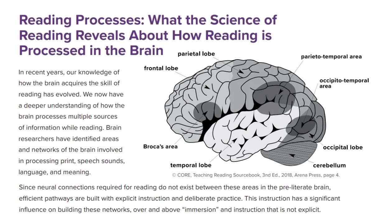 图片[3]-为什么越来越多孩子“读不进去”？美国刚完成一场阅读革命，而这件事与你家息息相关-AI Express News