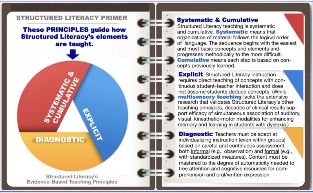 图片[5]-为什么越来越多孩子“读不进去”？美国刚完成一场阅读革命，而这件事与你家息息相关-AI Express News