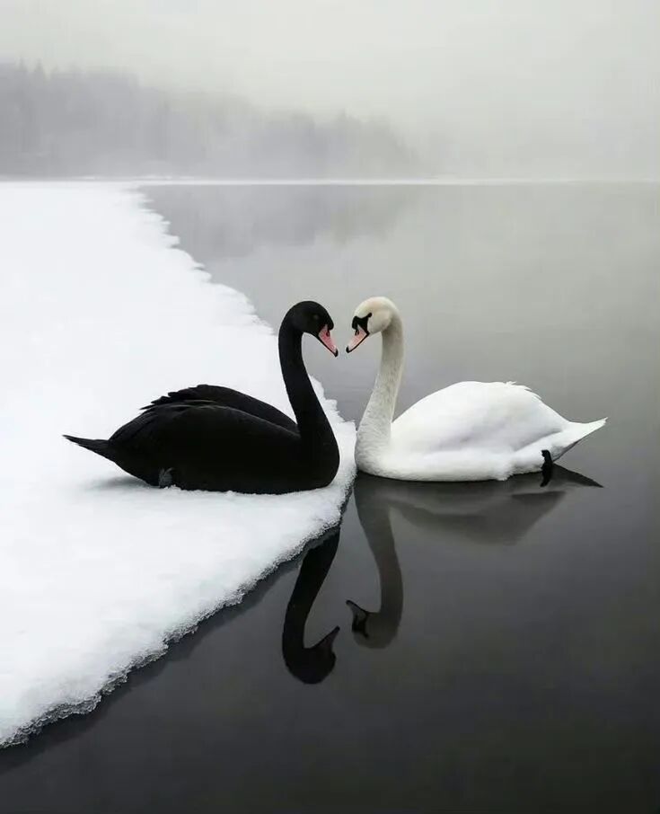 图片[1]-中国教育缺失的两条腿：我们为什么学不会逻辑，又不敢谈心理？-AI Express News