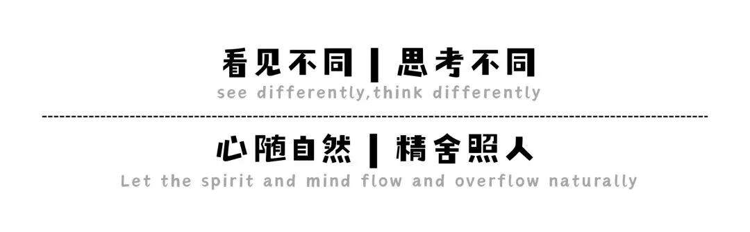 图片[2]-中国教育缺失的两条腿：我们为什么学不会逻辑，又不敢谈心理？-AI Express News