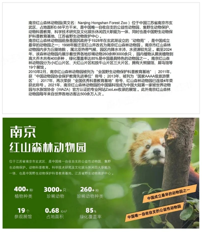 图片[2]-文字多的PPT这样排版，瞬间高大上~-AI Express News