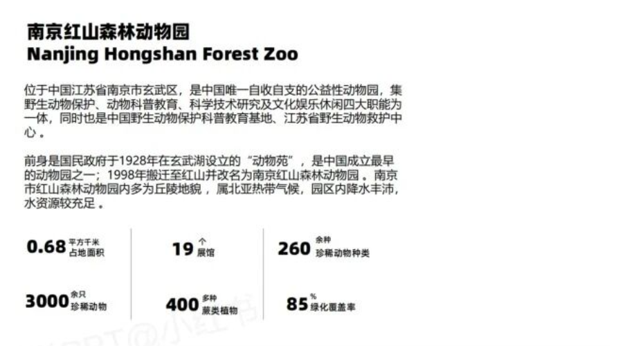 图片[4]-文字多的PPT这样排版，瞬间高大上~-AI Express News