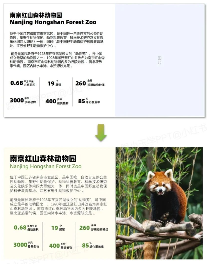 图片[5]-文字多的PPT这样排版，瞬间高大上~-AI Express News