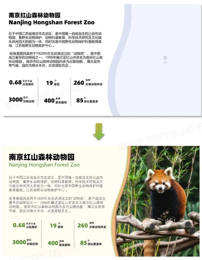 图片[6]-文字多的PPT这样排版，瞬间高大上~-AI Express News