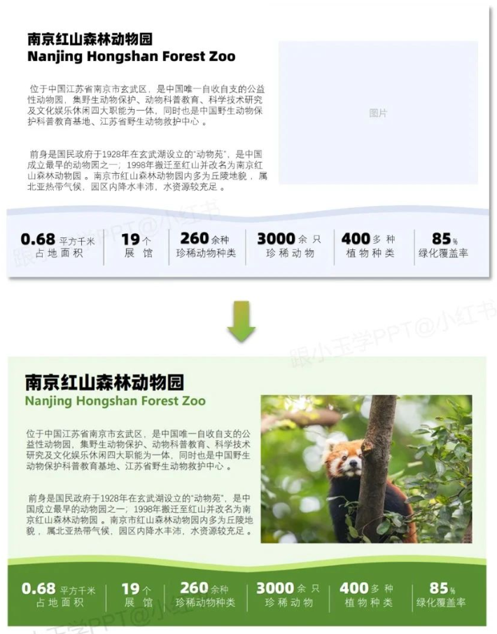 图片[7]-文字多的PPT这样排版，瞬间高大上~-AI Express News