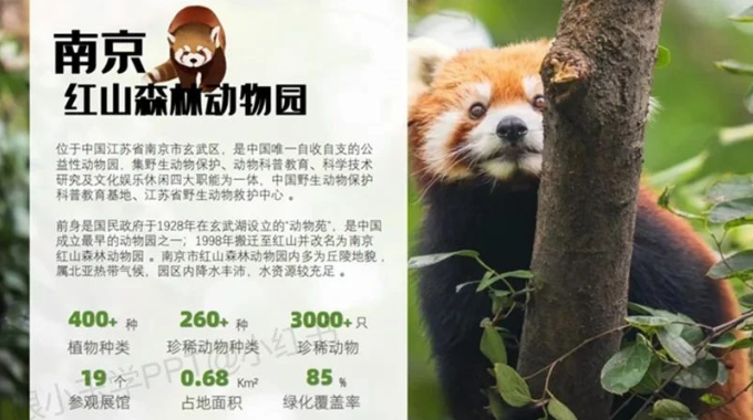 图片[8]-文字多的PPT这样排版，瞬间高大上~-AI Express News