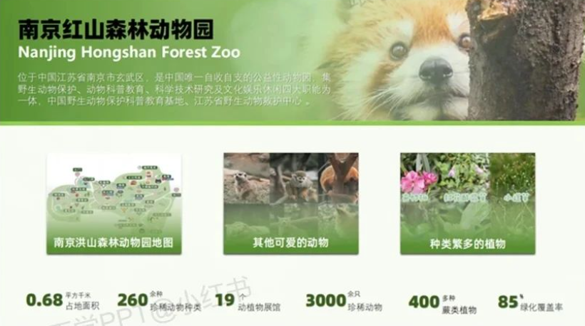 图片[9]-文字多的PPT这样排版，瞬间高大上~-AI Express News