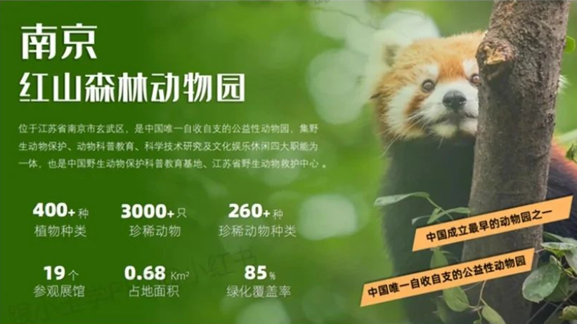 图片[10]-文字多的PPT这样排版，瞬间高大上~-AI Express News