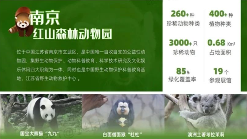 图片[12]-文字多的PPT这样排版，瞬间高大上~-AI Express News