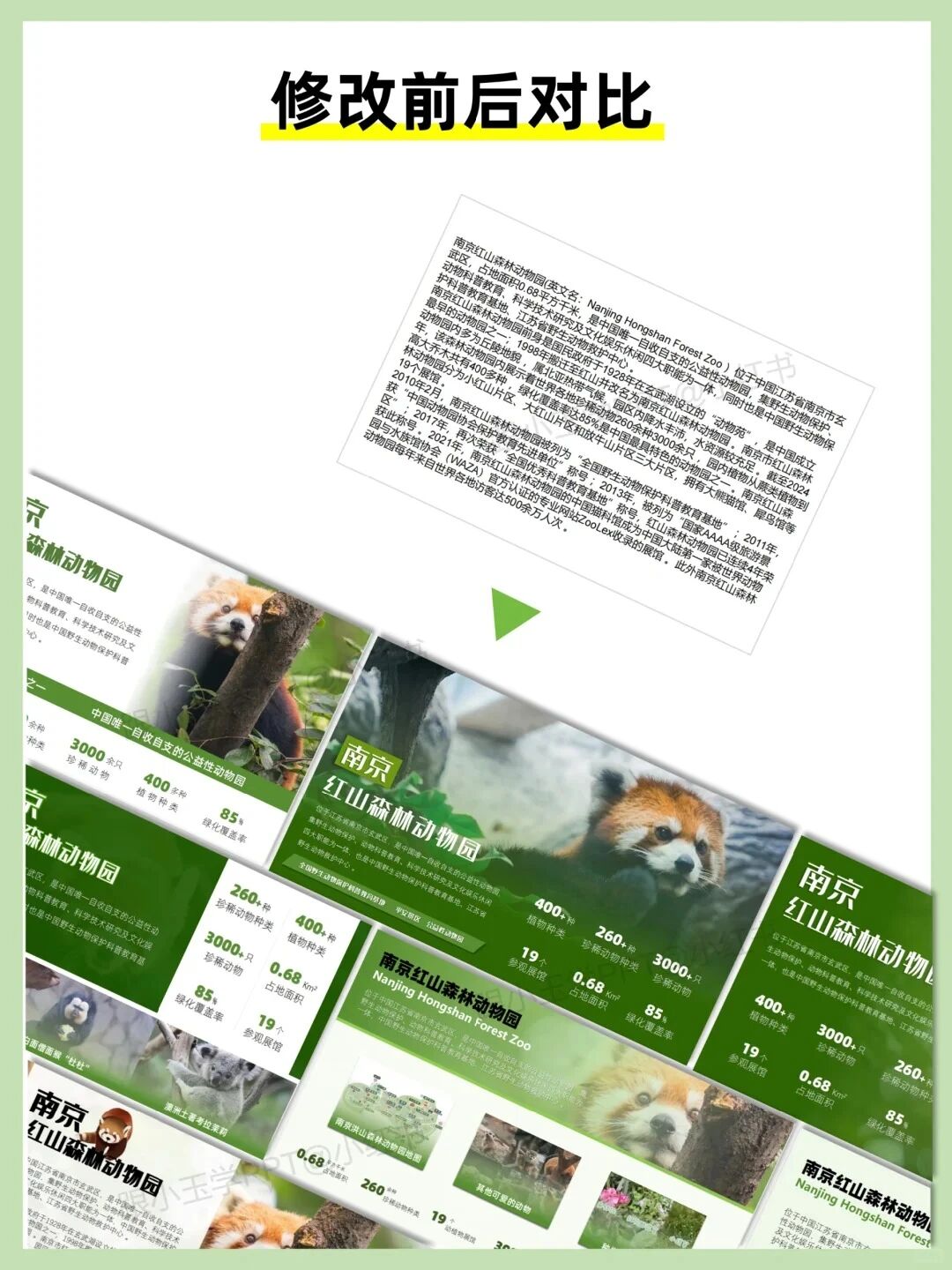 图片[14]-文字多的PPT这样排版，瞬间高大上~-AI Express News