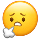 图片[42]-学长学姐说｜别只羡慕六边形战士的光环，她的“底层操作系统”可复制！！！-AI Express News