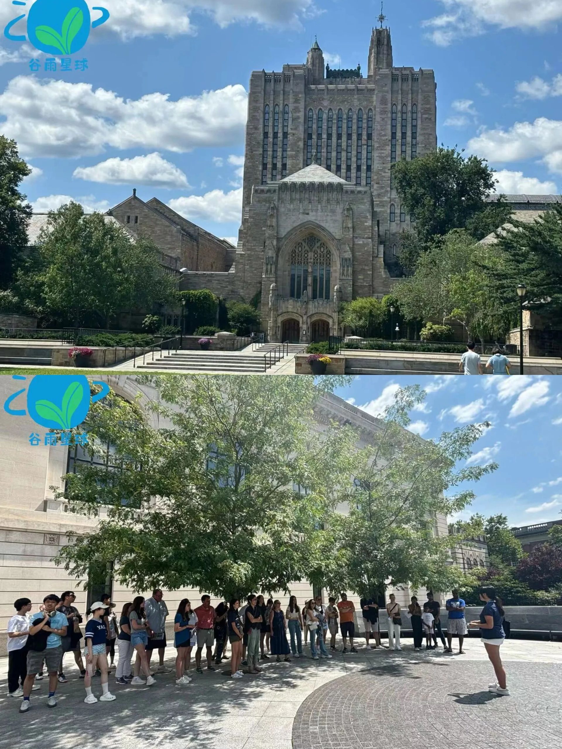 图片[5]-哈佛大学经济学教授，发明了一个「择校最优模型」-AI Express News