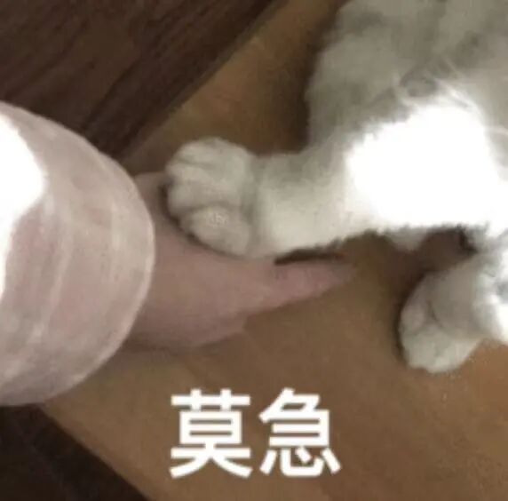 图片[3]-一位网友逆向破解了 ChatGPT 记忆系统，给我干破防了-AI Express News