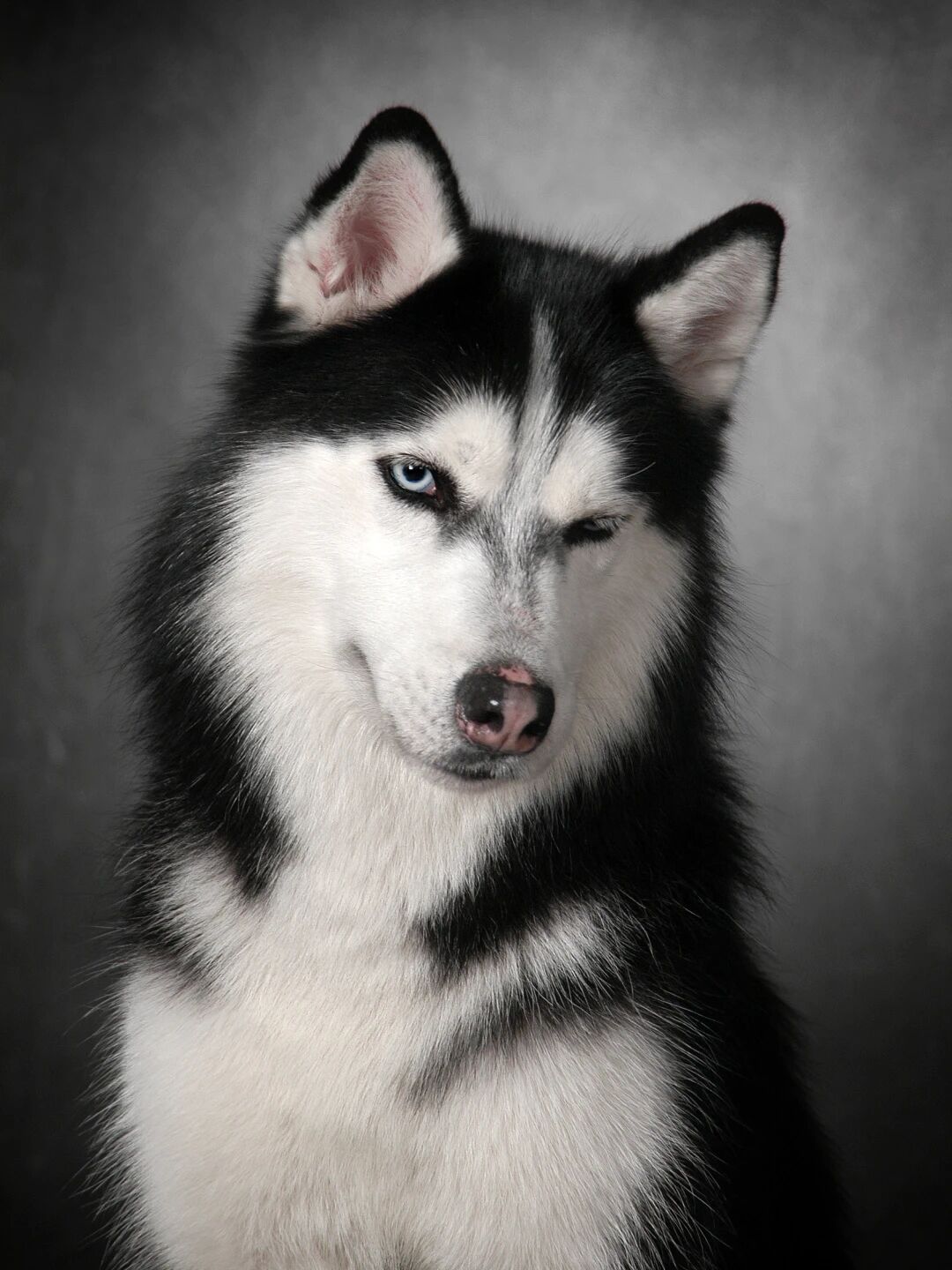 图片[35]-Wan2.6正式发布！上线国内首个角色扮演功能-AI Express News