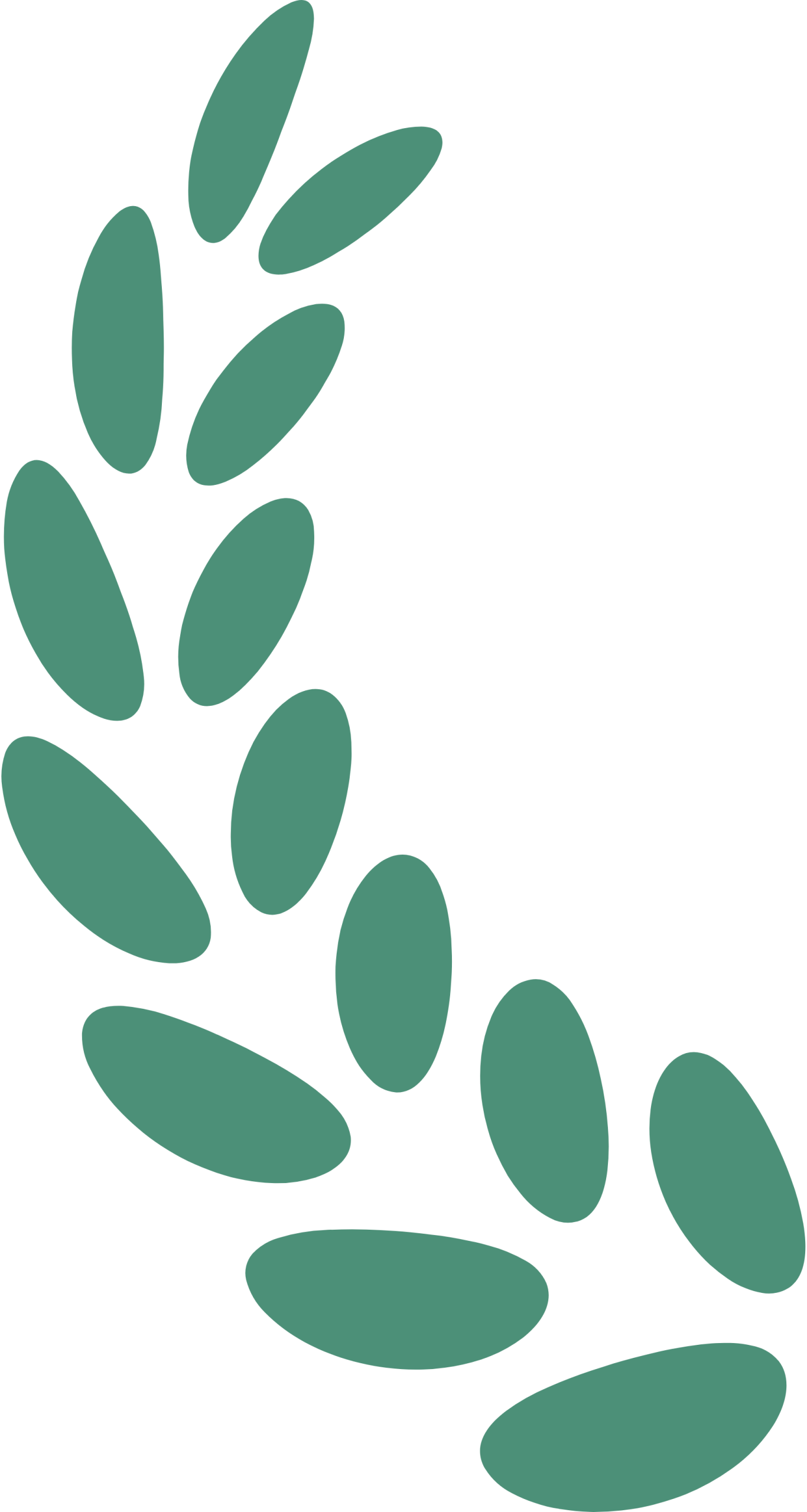 图片[1]-AI教学新魔法：打造你的专属数字人＋辅学视频！-AI Express News