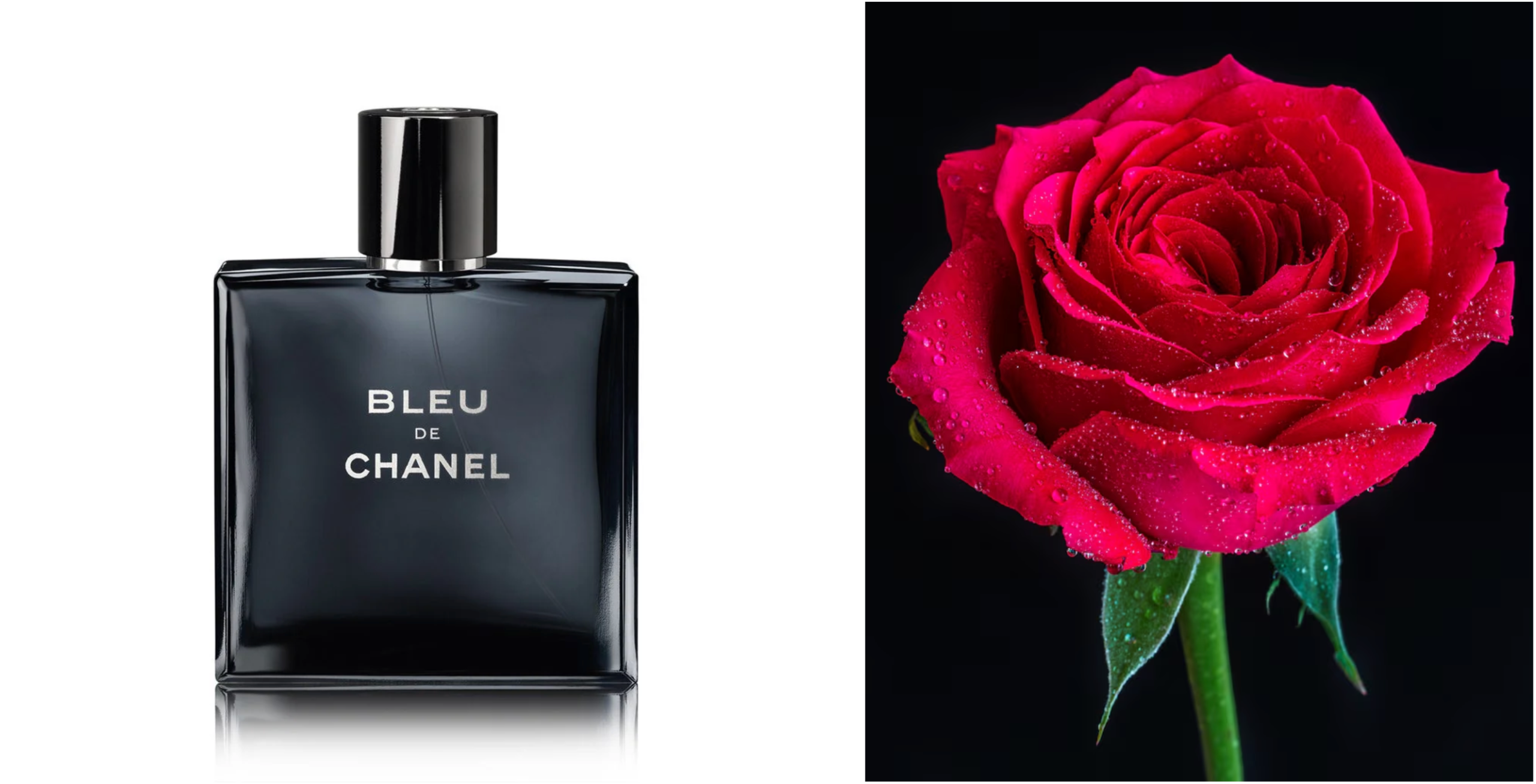 图片[16]-OpenAI还在卷生图，中国AI已一键成片！马斯克免费代言-AI Express News