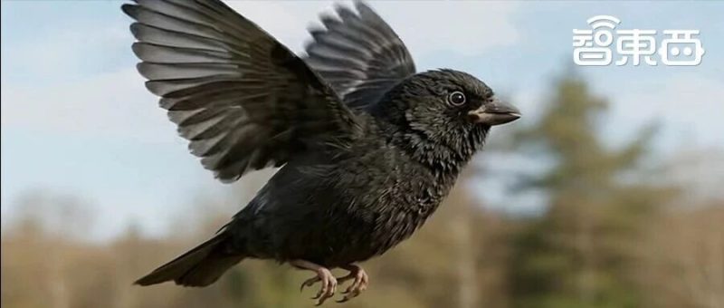 小白也能出大片！小云雀上线字节最新视频模型，一句话复刻热门爆款-AI Express News