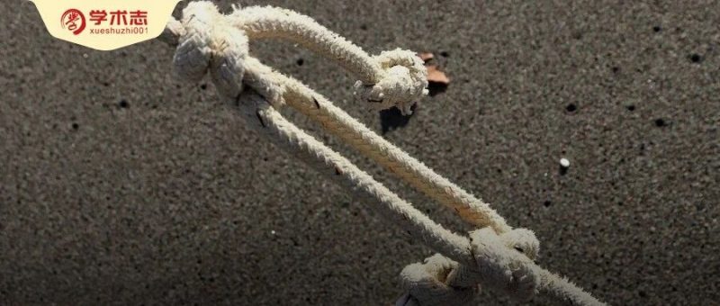 1年内11名博士生自杀，顶尖高校陷博士生自杀危机，疑因要求学生每学期发1篇SCI-AI Express News