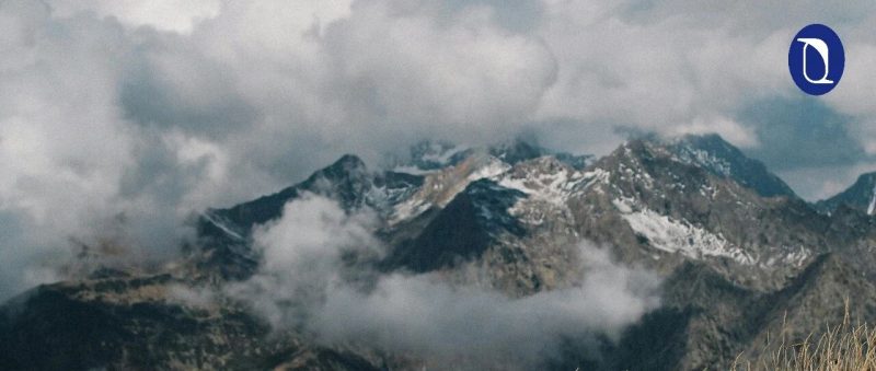 “作品灵魂的关键在于作家本身，AI永远无法替代优秀作家”｜破晓访谈-AI Express News