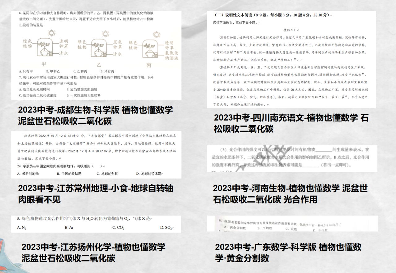 图片[29]-专为“初中生”创办的顶级新闻报刊！时事写作、考点知识全掌握-AI Express News
