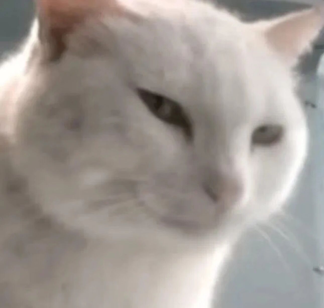 图片[10]-4.98万就能买机器人通用基座？！一机三态，多场景验证，标配VLA大脑-AI Express News