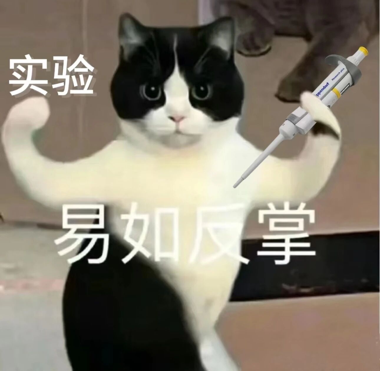 图片[15]-4.98万就能买机器人通用基座？！一机三态，多场景验证，标配VLA大脑-AI Express News