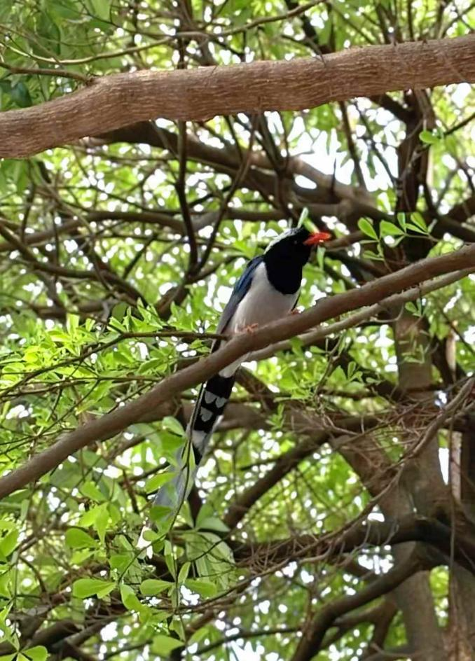 图片[6]-平时爱做这3件事的人，精神状态都非常美丽（特别是第3种）-AI Express News