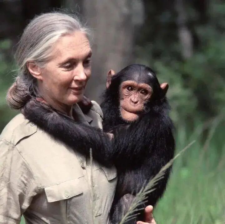 图片[2]-前沿！哈佛大学认知科学家与萨古鲁探讨创造的根基——意识、智力、逻辑和觉知（深度长文）-AI Express News