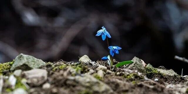 图片[1]-谷歌创始人罕见反思：低估 Transformer，也低估了 AI 编程的风险，“代码错了，代价更高”-AI Express News