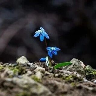 谷歌创始人罕见反思：低估 Transformer，也低估了 AI 编程的风险，“代码错了，代价更高”-AI Express News