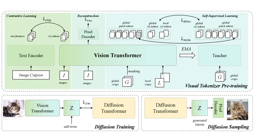 图片[10]-MiniMax海螺首次开源VTP，Tokenizer才是视频生成Scaling的新主角-AI Express News