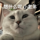 图片[3]-被豆包AI新功能吓醒了！一句话让照片动起来，还能开口说话...-AI Express News