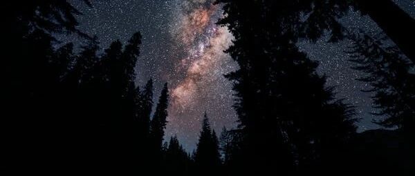 账号与身份防线全面失守：黑灰产 Agent 化攻击下，如何用“第一性原理”重建防线？-AI Express News