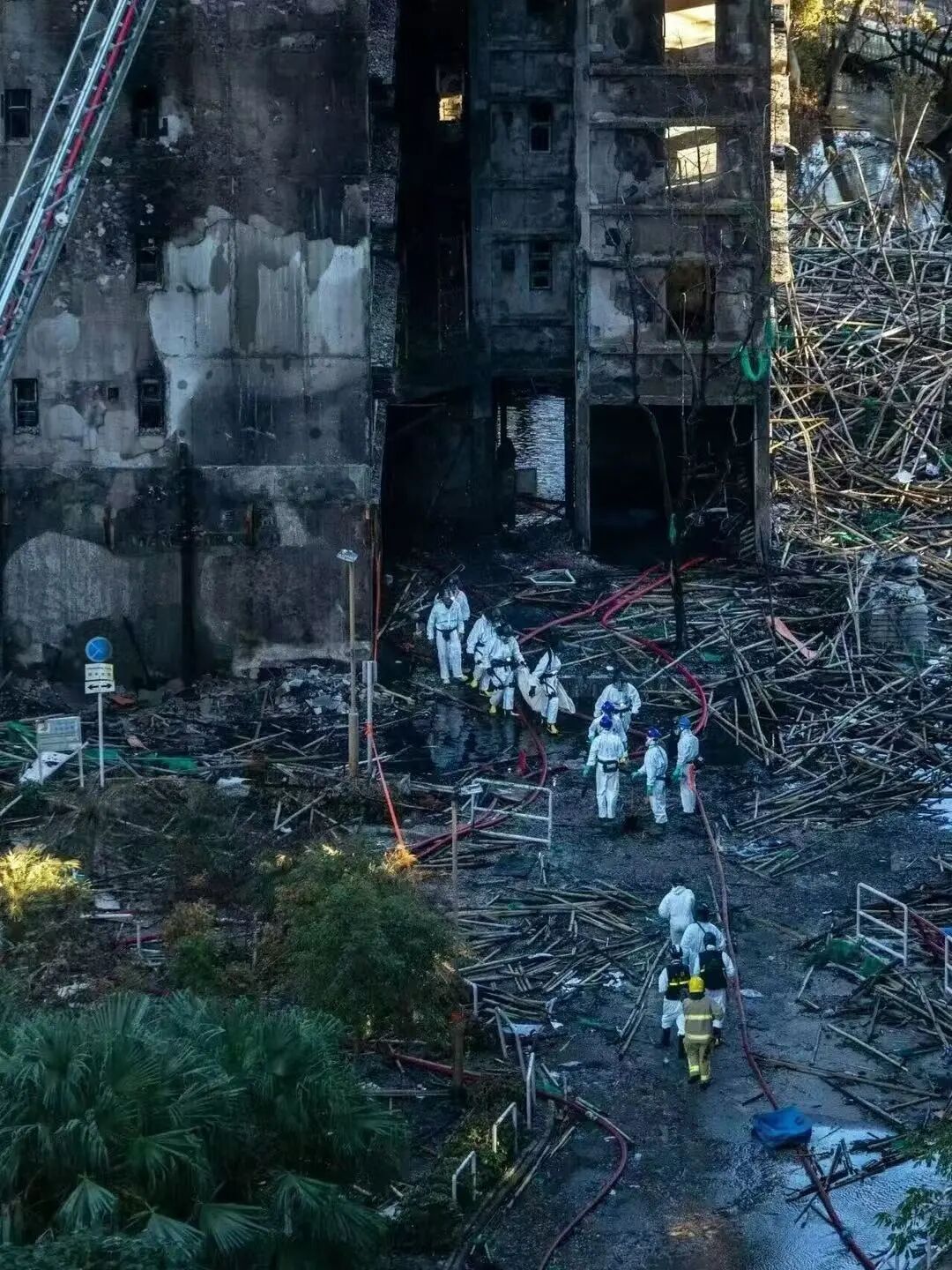 图片[9]-偏科极客、死亡焦虑，第一个消费级外骨骼的诞生-AI Express News