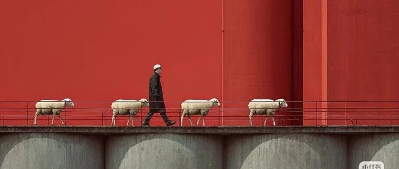 能解决问题的prompt 才是好prompt-AI Express News