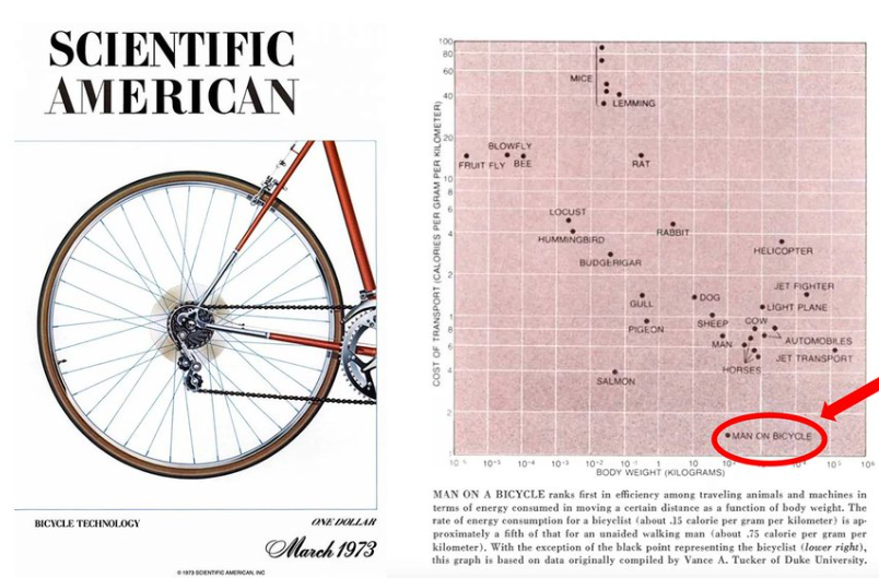 图片[8]-Notion CEO发布AI年度思考笔记，发布1天，200万人围观，AI职场人的黄金时代刚刚开始？-AI Express News