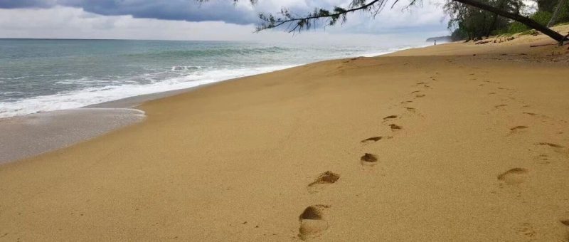 AI时代的学习方法-AI Express News