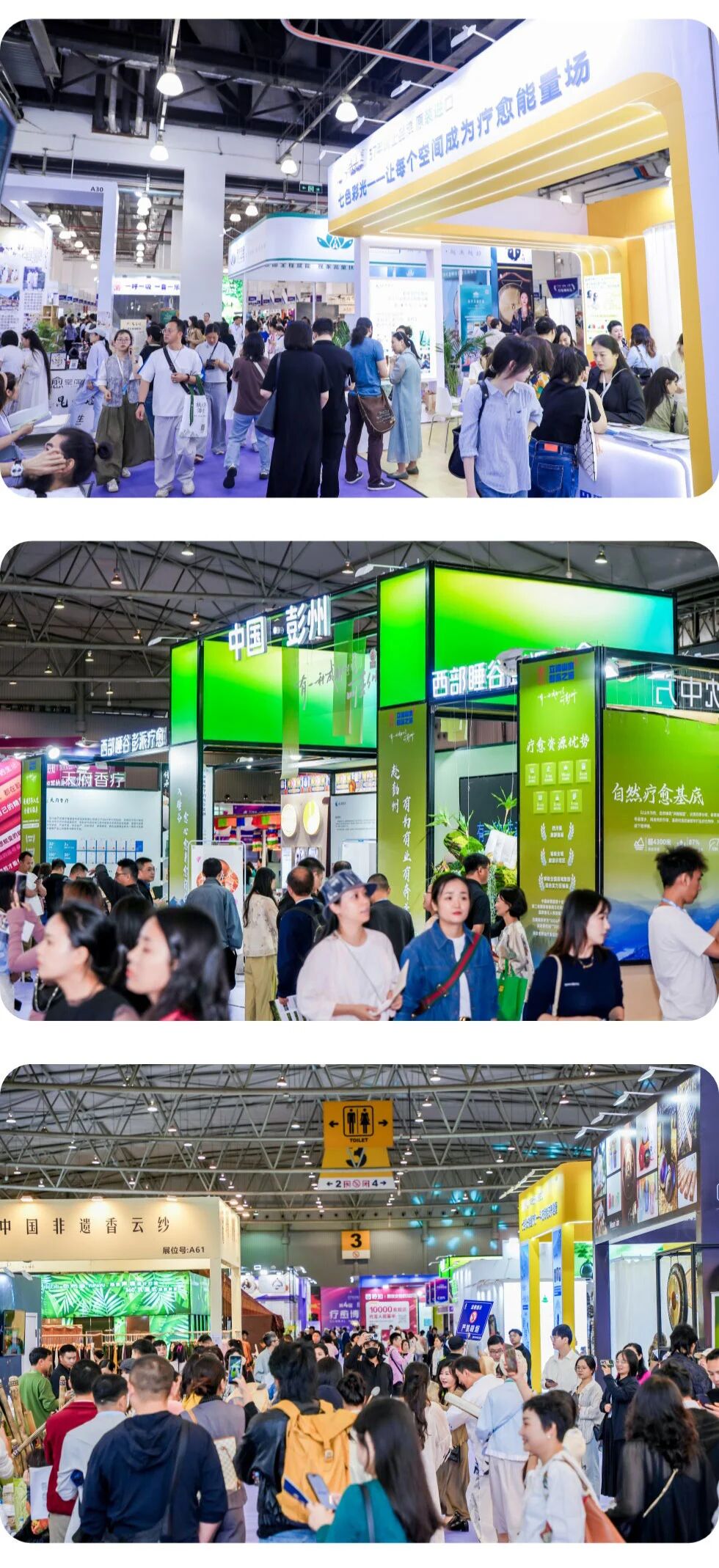 图片[41]-愈到·第5届·疗愈博览会（深圳）【全攻略】-AI Express News