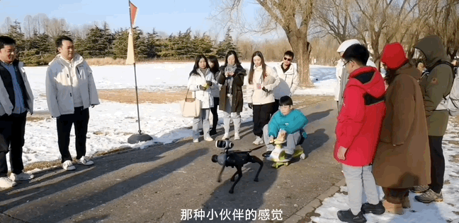 图片[2]-一只大头机器狗供不应求，打响了消费级具身智能第一枪-AI Express News