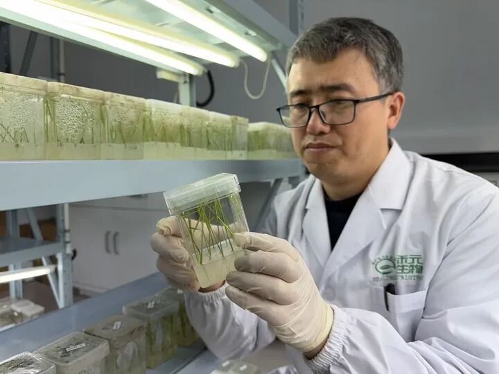 图片[3]-最新公开：已取得突破性进展-AI Express News