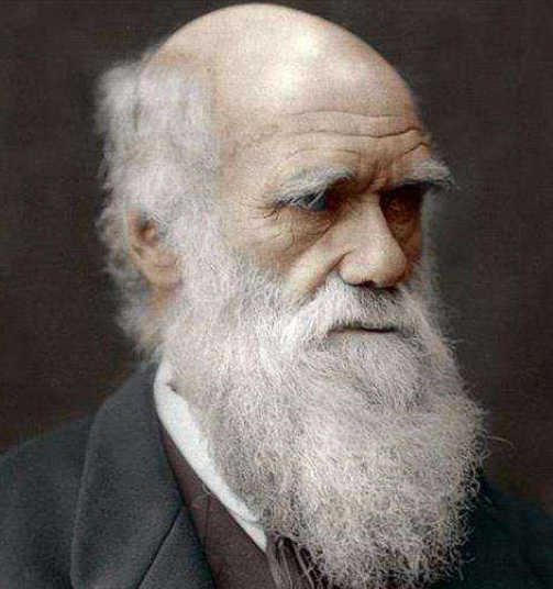 图片[2]-什么决定了子孙的“成功”？美教授揭开社会地位流动的两个秘密因素-AI Express News