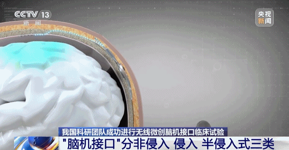 图片[1]-马斯克宣布大消息-AI Express News