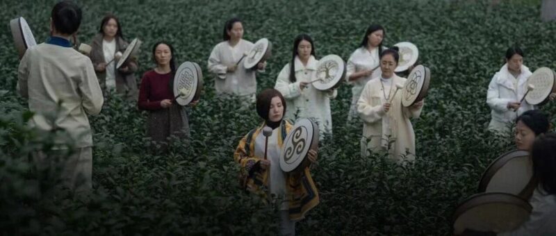 “发疯”的年轻人，带火这个千亿级的市场-AI Express News