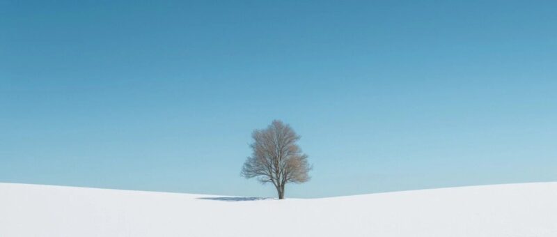 我们为什么要做 Slax Reader-AI Express News